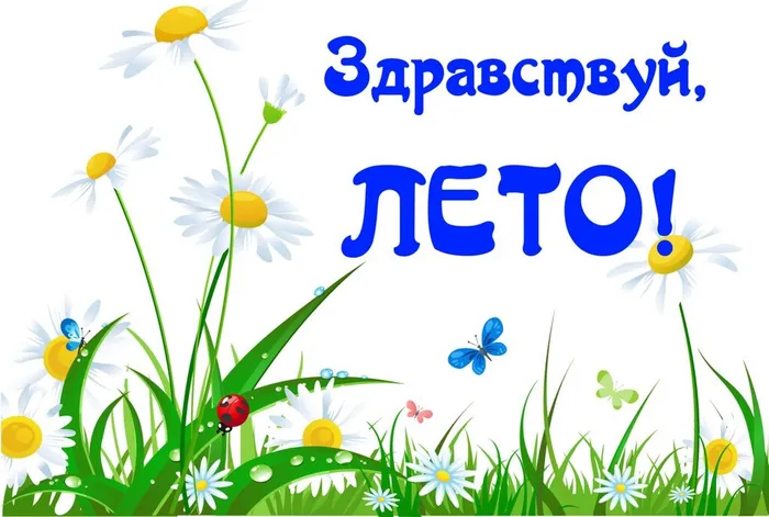 20230526vet1-1