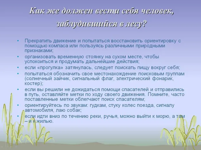 Слайд3.jpg