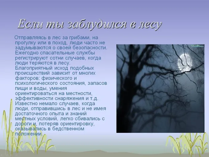 Слайд2.jpg