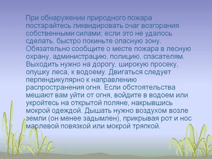 Слайд7.jpg