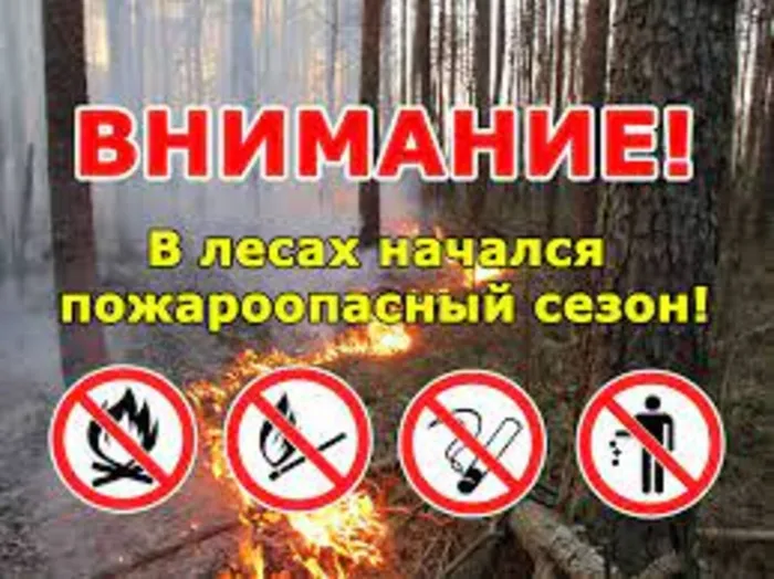Без названия.jfif