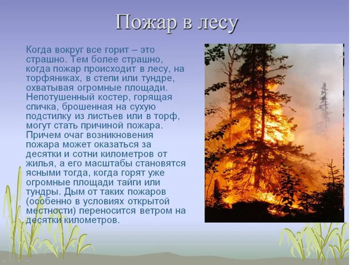 Слайд5.jpg